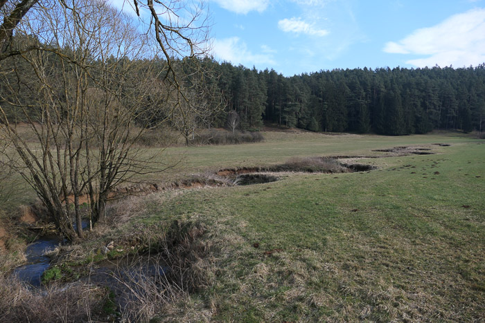 Der Hengerbach im Mandeltal mäandriert emsig vor sich hin, deswegen heißt es auch 