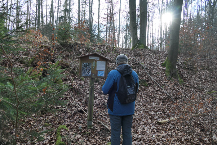 Hier stand einst die stolze Burg Deining.