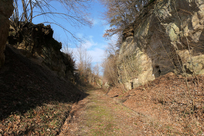 Leider wurden die schützenden Bäume oben auf gerodet. Es wirkt alles ein bisschen nackig.