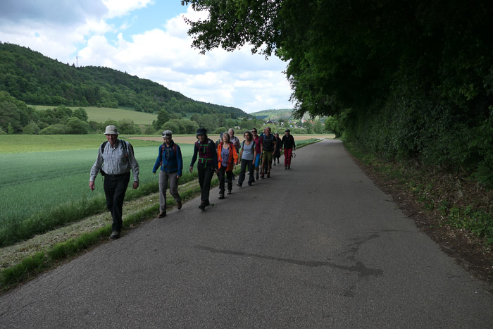 Zunächst geht es auf Asphalt nach Distelhausen.