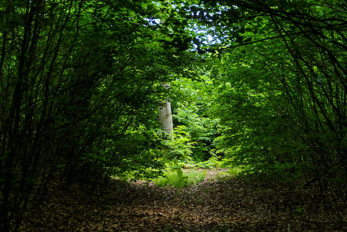 Ist das das Licht am Ende des Tunnels?