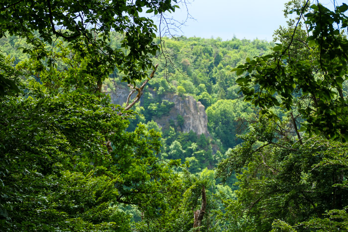 Die Grüne Hölle gewährt nur einen kurzen Blick zur Räuberhöhle auf der Westseite der Naab.