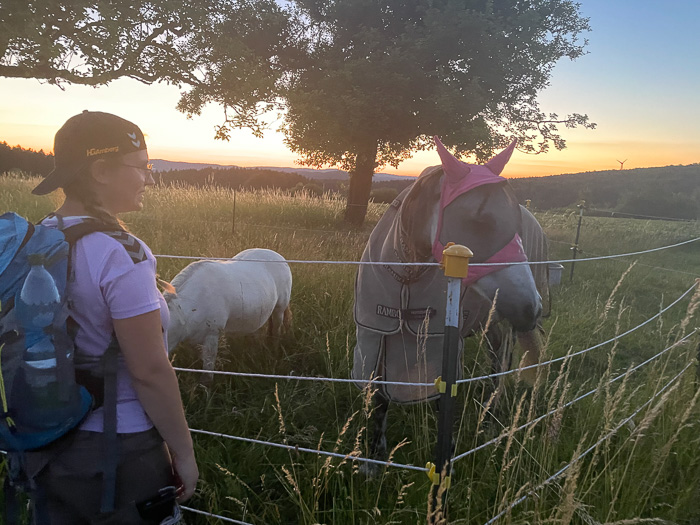 Das ist das Pferd! (Vermutlich hört es auf den Namen Pinkie - falls es was hört.)