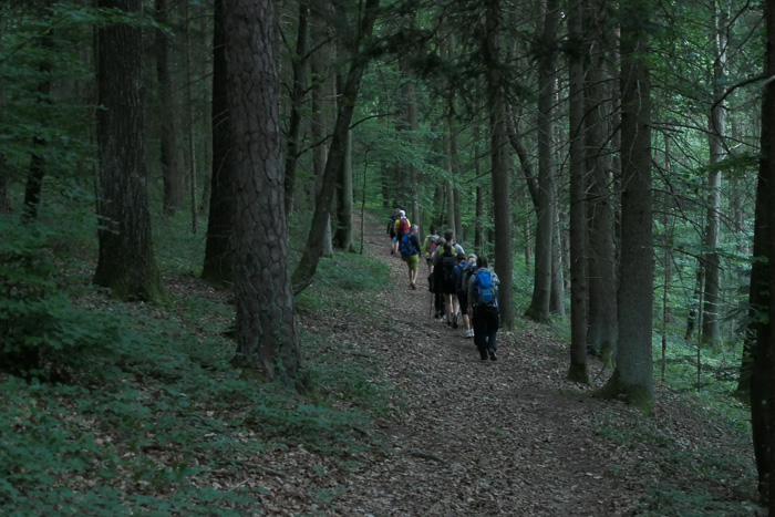 Der Weg wäre super, wenn wir frisch wären und er 6,9 von 7 Kilometern kürzer wäre. 