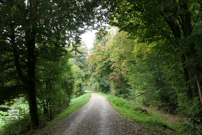 Wunderbarer Friedrich-Pustet-Radweg.