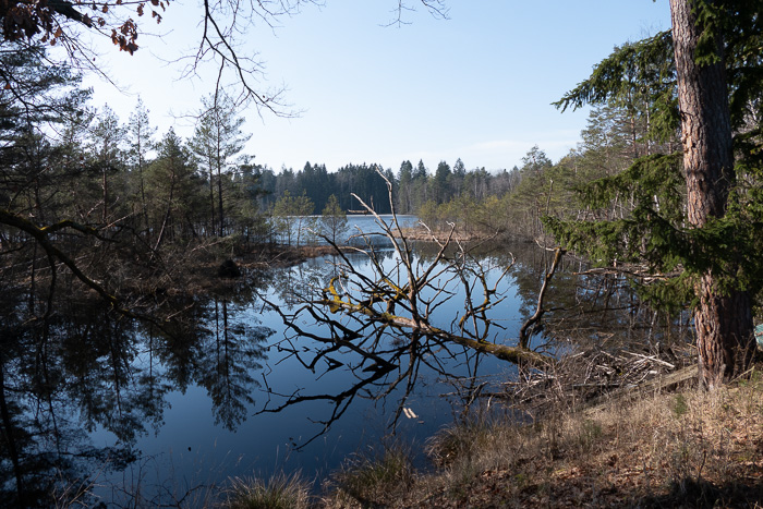 Schöne Morgenstimmung.