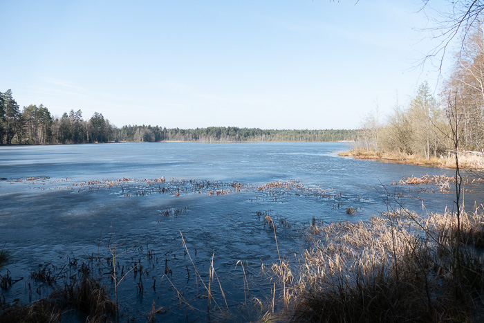 Idyllischer Breitenbrucker Weiher - menschgemacht. 