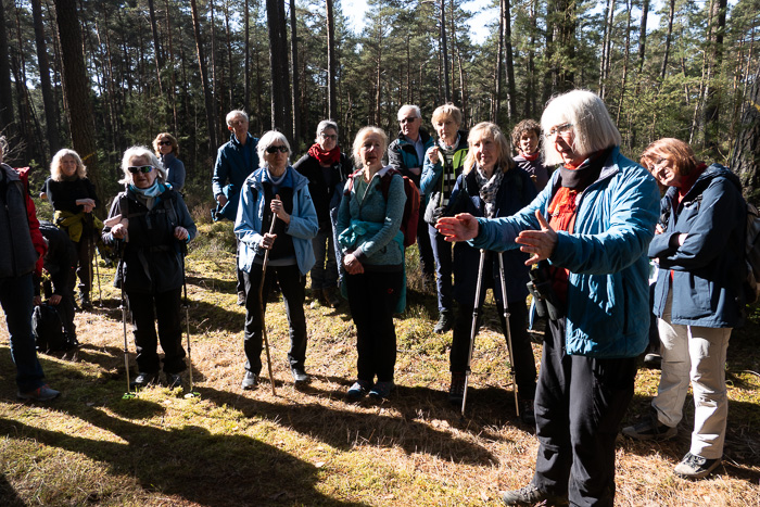 Eva weiß es: Mittels dieser Furchen (Spitalwald), sollten die Fichten bessere Wurzeln ausbilden. Man hat es wieder aufgegeben.