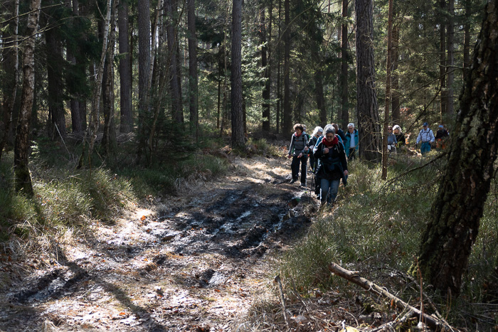 Das Angebot einer Fangopackung meiden die meisten. 