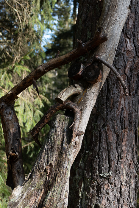 Ja, da kann man schon grimmig schauen. 