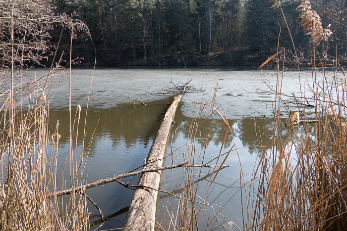 Niemand will heute den Balancierbalken ausprobieren. Schade.