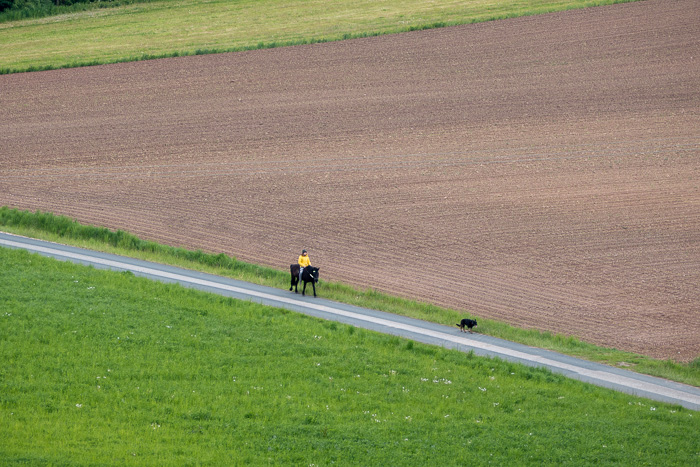 Die Einheimischen bleiben geerdet in der Ebene, sie kennen die Kulms schon hinreichend.